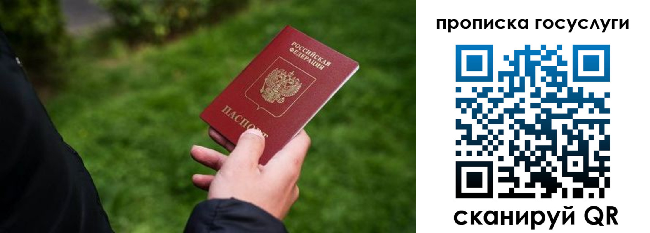 прописка для работы в Краснодарском крае